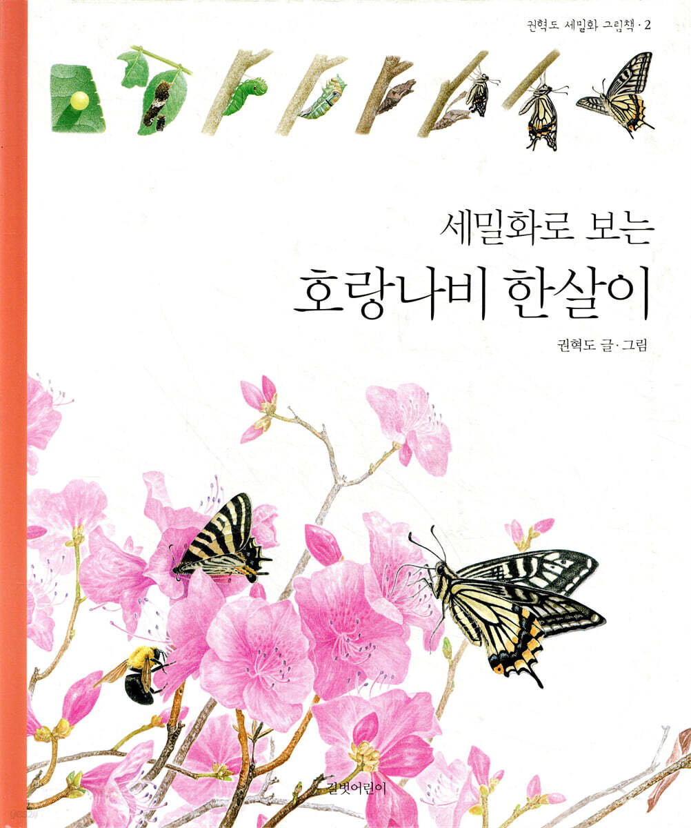 세밀화로 보는 호랑나비 한살이
