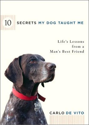 10 Secrets My Dog Taught Me