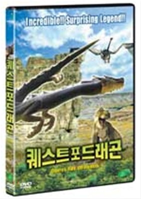 퀘스트 포 드래곤