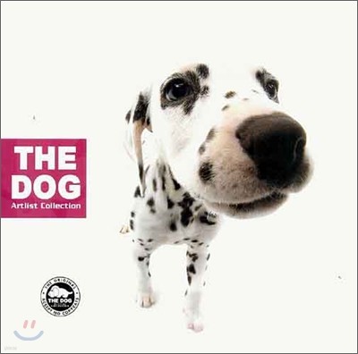 The Dog : Artlist Collection