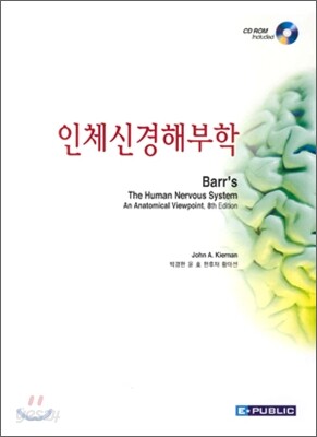 인체신경해부학