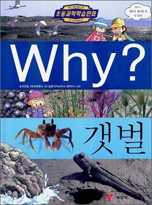 Why? 와이 갯벌