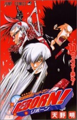 家庭敎師ヒットマンREBORN! 11