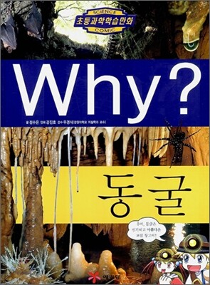 Why? 와이 동굴