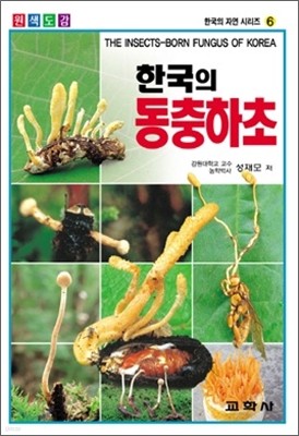 한국의 동충하초