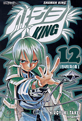 샤먼킹 12