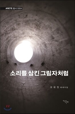 소리를 삼킨 그림자처럼
