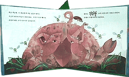 코가 긴 돼지