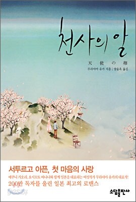 천사의 알
