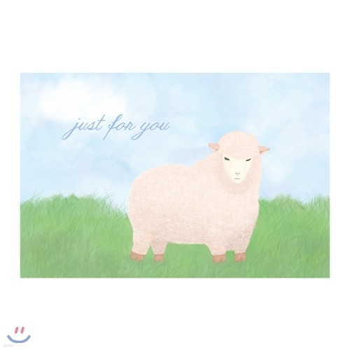 аڽ ޼ Ʈī  - sheep