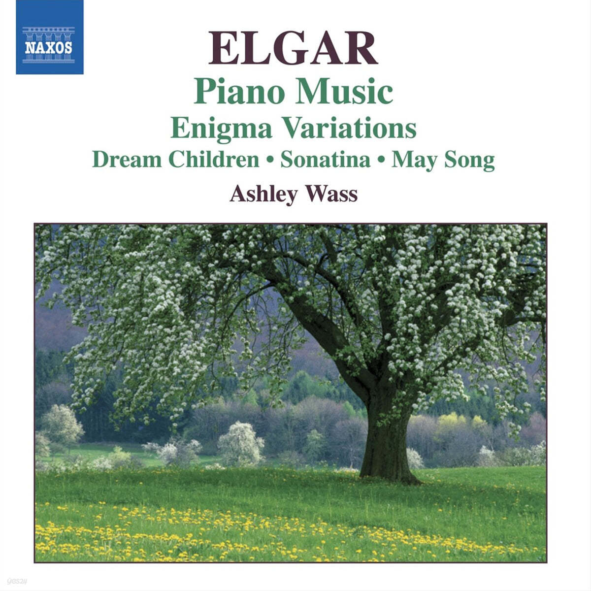 Ashley Wass 엘가: 피아노 작품집 (Elgar: Piano Works) 