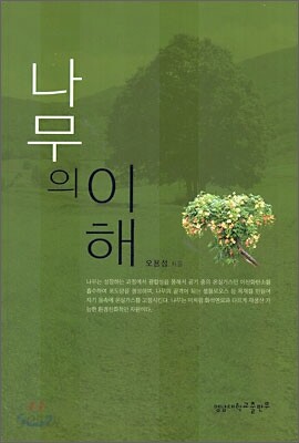 나무의 이해