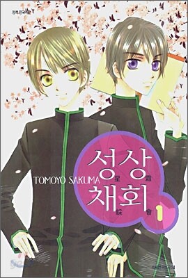 성상채회 1