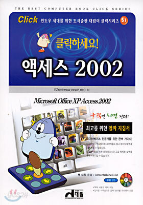 액세스 2002