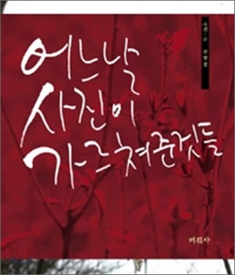 어느 날 사진이 가르쳐준 것들