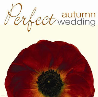 Ʈ   (Perfect Autumn Wedding) 