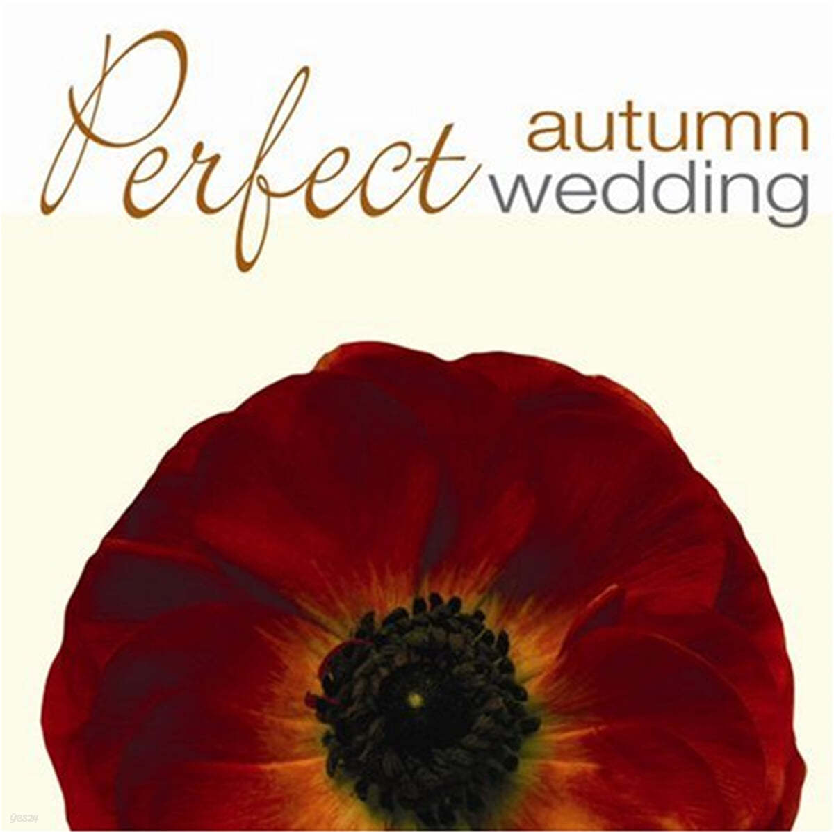 퍼펙트 어텀 웨딩 (Perfect Autumn Wedding) 