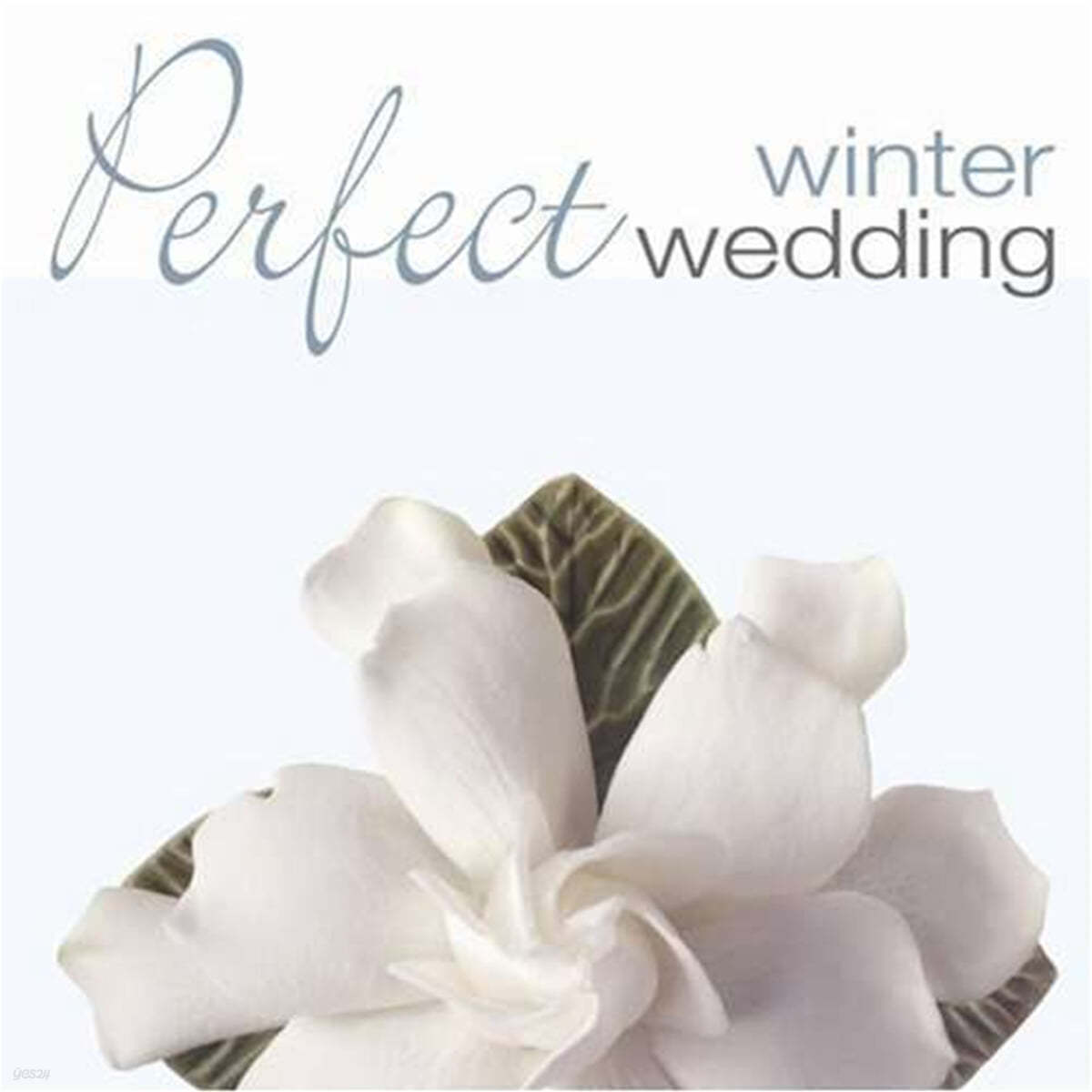 퍼펙트 윈터 웨딩 (Perfect Winter Wedding) 