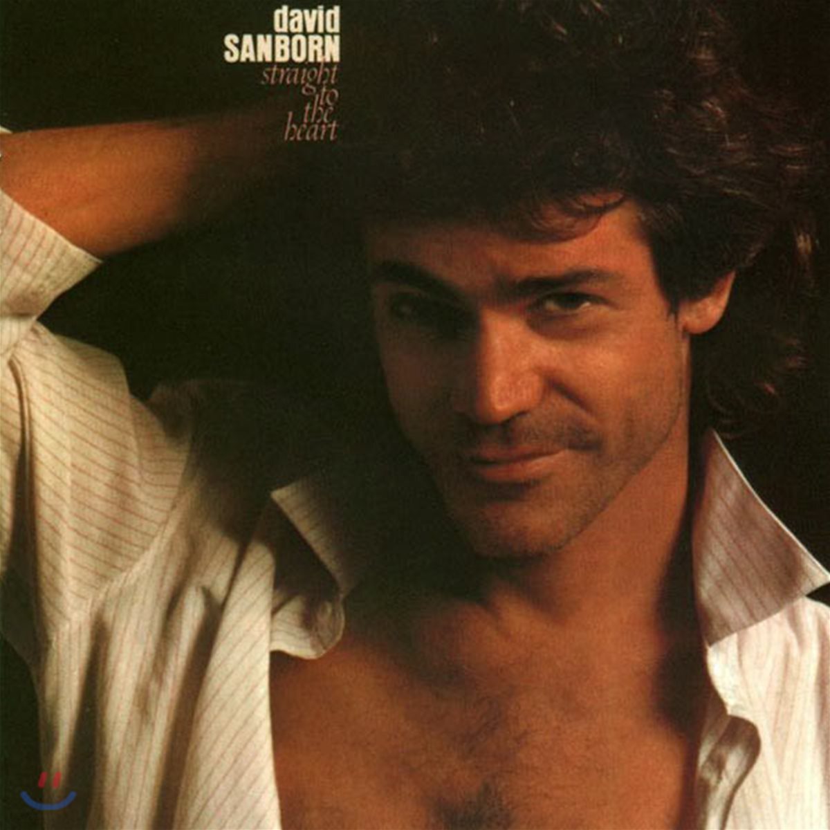 David Sanborn - Straight To The Heart