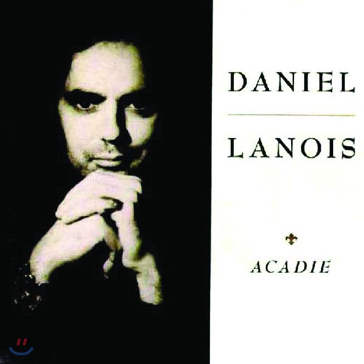 Daniel Lanois - Acadie