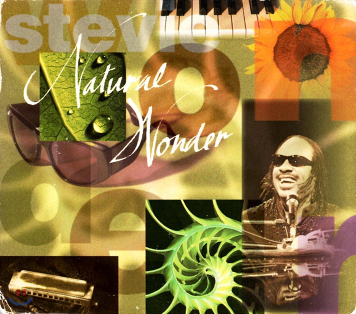 Stevie Wonder - Natural Wonder