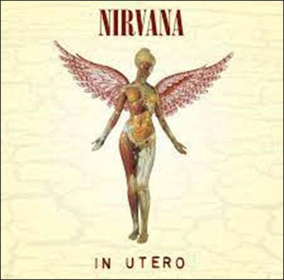 Nirvana (ʹٳ) - In Utero [LP]