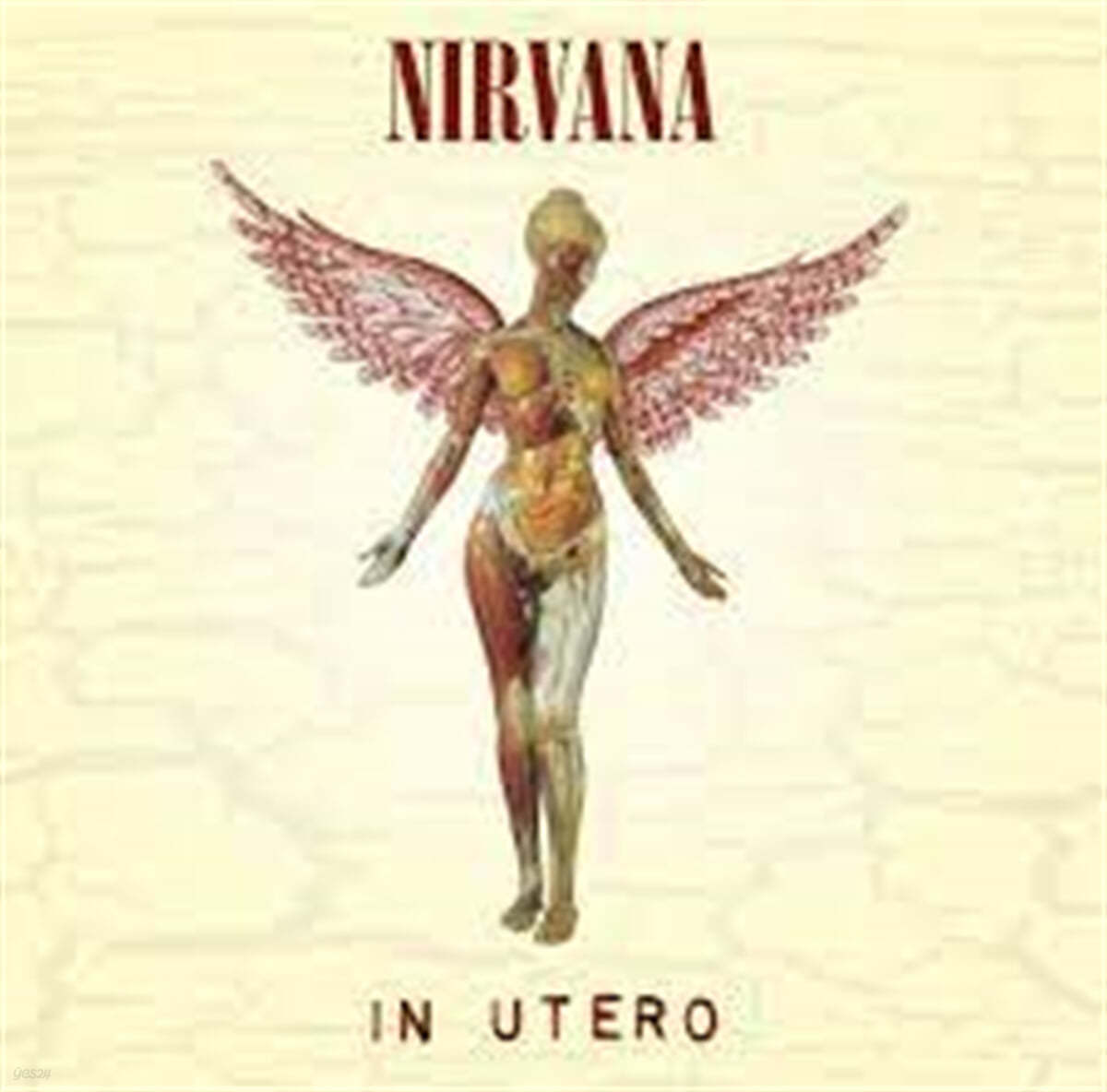 Nirvana (너바나) - In Utero [LP]