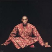 Raphael Saadiq — Instant Vintage 앨범 커버