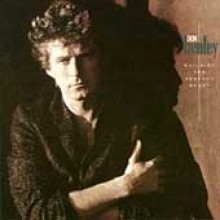 Don Henley - Building The Perfect Beast