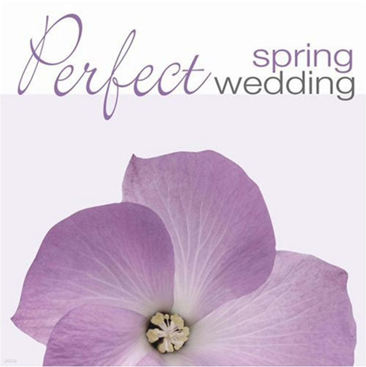 퍼펙트 스프링 웨딩 (Perfect Spring Wedding) 