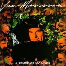 Van Morrison - A Sense of Wonder [Remastered]