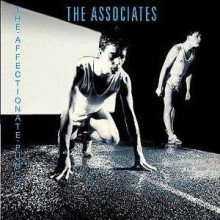 Associates - The Affectionate Punch