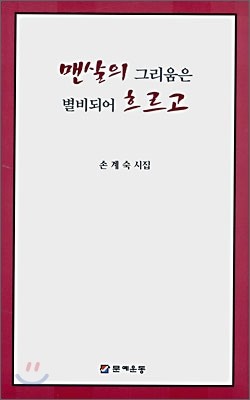 맨살의 그리움은 별비되어 흐르고