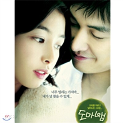 도마뱀