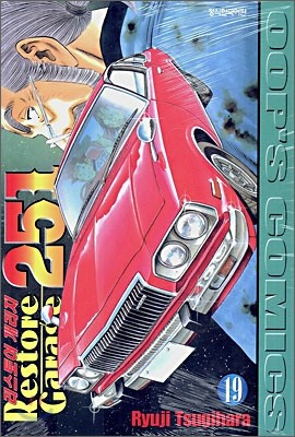   251 Restore Garage 251 (19)