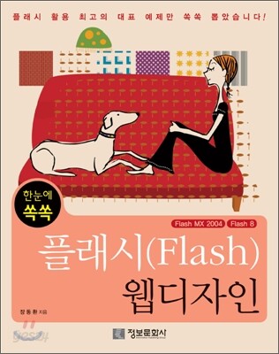 한눈에 쏙쏙 플래시 웹디자인