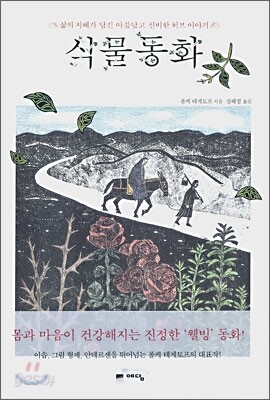 식물동화