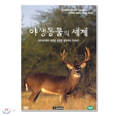 야생동물의 세계 13