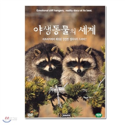 야생동물의 세계 12