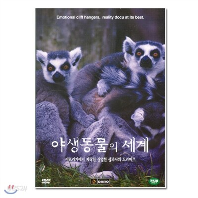 야생동물의 세계 9