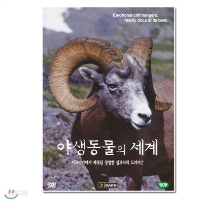 야생동물의 세계 8
