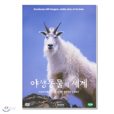 야생동물의 세계 7