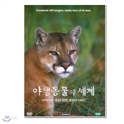 야생동물의 세계 1