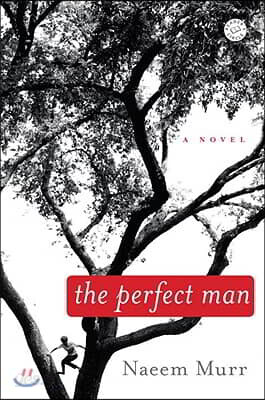 The Perfect Man