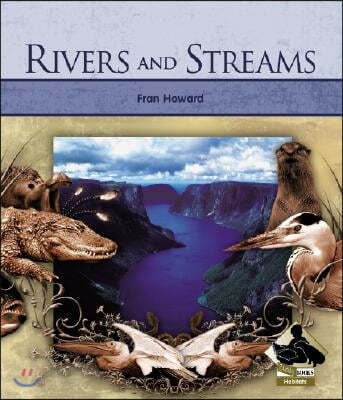 Rivers and Streams