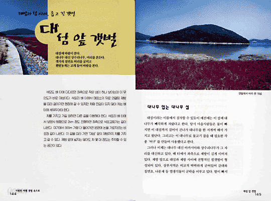 시원한 여행 갯벌 속으로