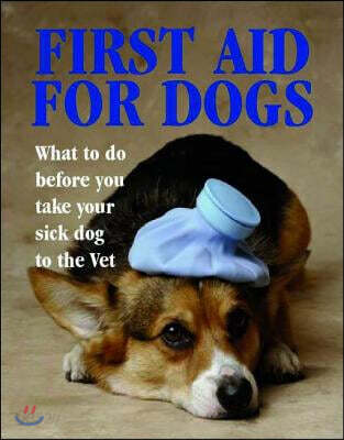 First Aid for Dogs