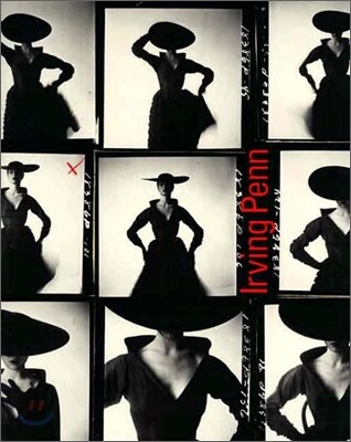 Irving Penn : A Career in Photography