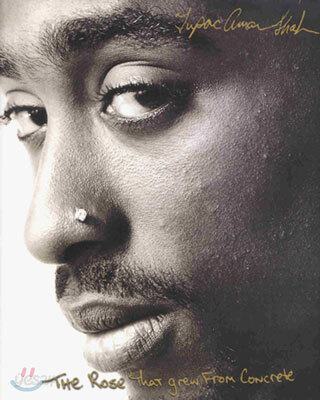 The Rose That Grew from Concrete