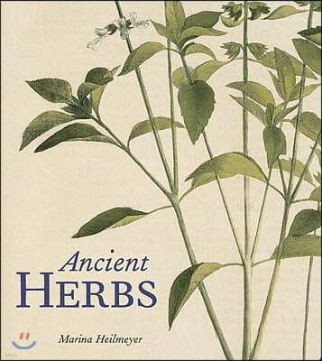 Ancient Herbs